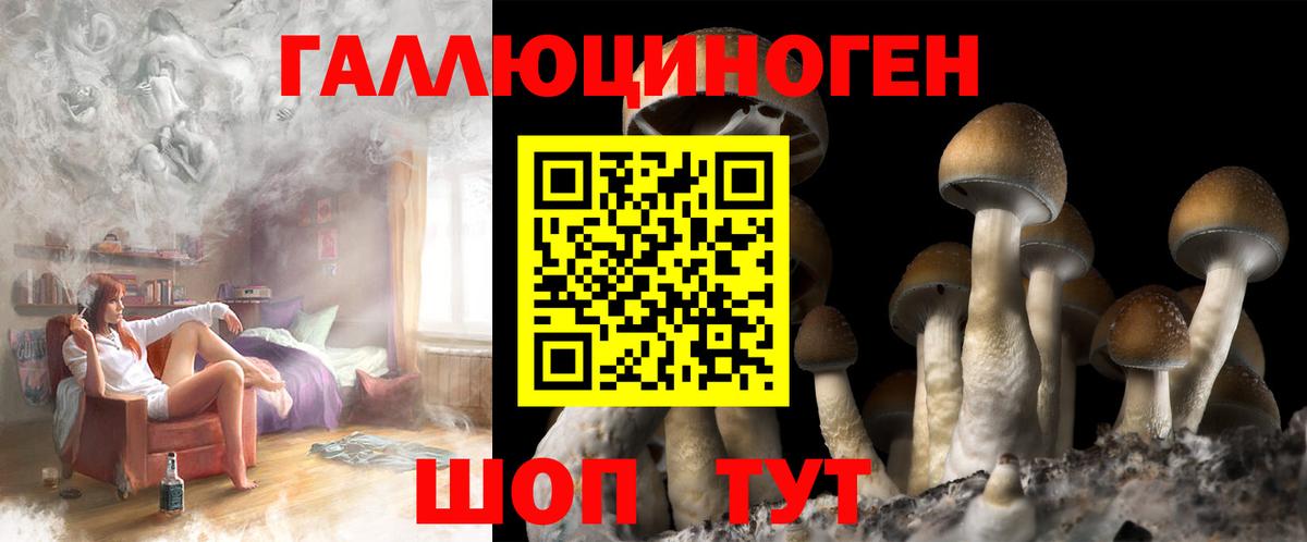 Галлюциногенные грибы ЛСД  Вход с VPN  Галлюциногенные грибы GOLDEN TEACHER  закладка  Волжский 